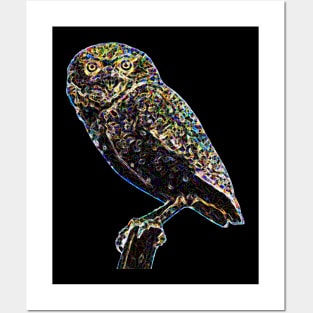 owl Posters and Art